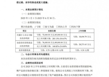 盛新锂能预计2025年上半年亏损7.2亿至8.5亿元