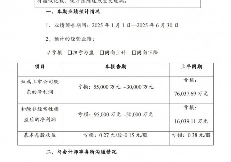 赣锋锂业2025年上半年预计净亏损3亿至5.5亿元