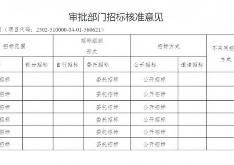 关于南充燃煤发电项目核准的批复