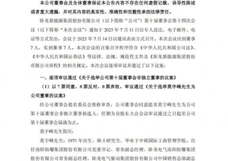 王小鑫出任卧龙新能副总裁