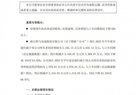 野马电池预计2025年上半年净利润为2455.13万元至3