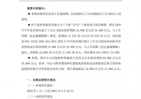 杉杉股份2025年上半年净利同比预增810%-1266%