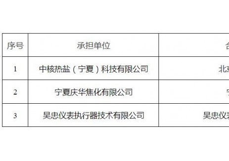熔盐储能项目在列！宁夏吴忠市公示2025年“揭榜挂