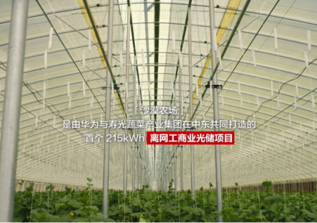 沙漠变沃土！光储微网+智慧农业，绘就中东农产新