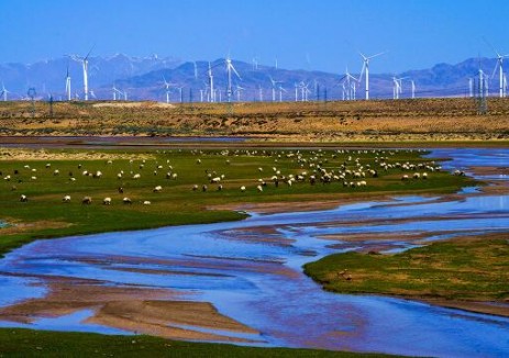 跨越2500千米！青海绿电“破圈”入广东