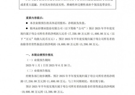 永杉锂业预计2025年上半年净利润约-1.725亿元到