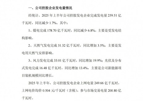 独立储能5.25万千瓦！申能股份控股企业装机容量公