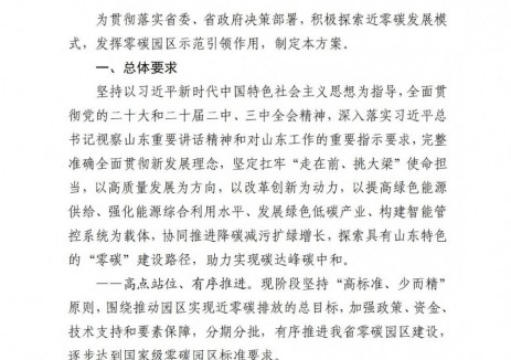 推进储能项目建设与构网型新能源等技术应用！山东印发