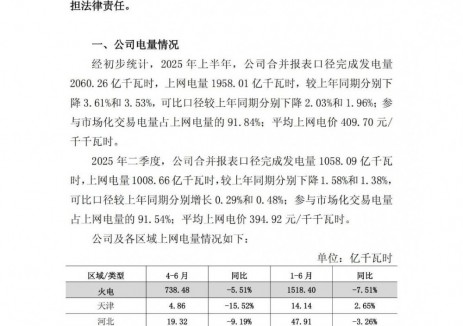 国电电力：2025年上半年完成发电量2060.26亿千瓦