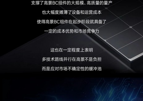 高景太阳能BC组件量产落地：柔性产线、权威认证