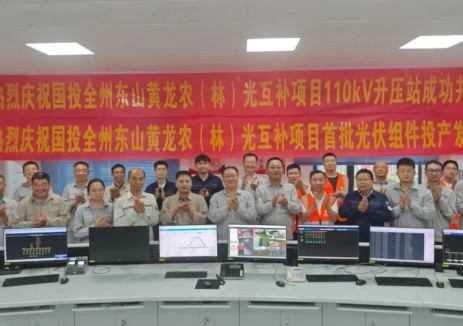国投广西新能源全州东山黄龙农（林）光互补项目（