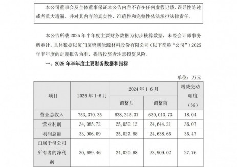 厦钨新能2025年上半年净利3.07亿元 同比增长27.76