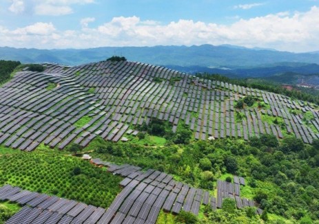 广西全州东山黄龙农（林）光互补项目首批并网发电
