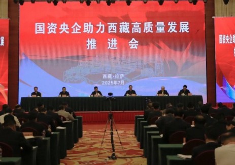 中国电建总经理王斌参加国资央企助力西藏高质量发展推进