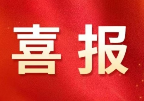 发电运营公司吉林松原玉龙风电场荣获电力行业5A级称号