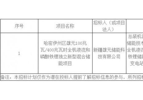 招标 | 新疆哈密伊州区雄元100MW/400MWh全钒液流