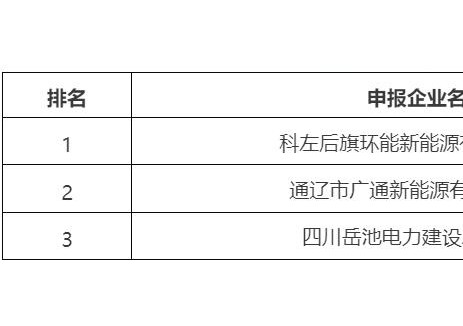 内蒙古通辽市科左后旗2025年新型储能专项行动电网侧储能项目开发主体优选结果公示