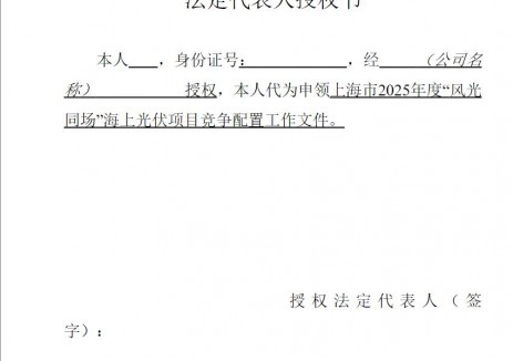 上海市2025年度“风光同场”海上光伏项目竞争配置工作公告