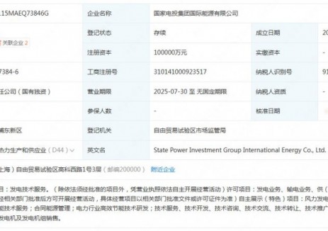 国家电投成立新公司