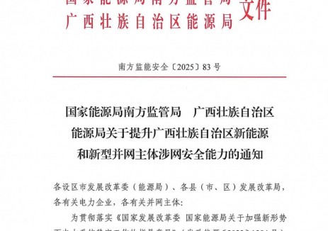 广西：提升新能源和新型并网主体涉网安全能力