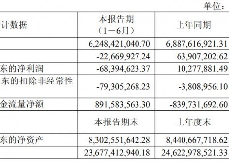 容百科技2025年上半年实现营业总收入62.48亿元