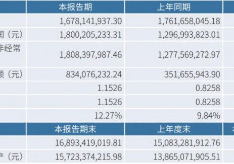藏格矿业2025年上半年净利润18亿元 同比增长38.8%