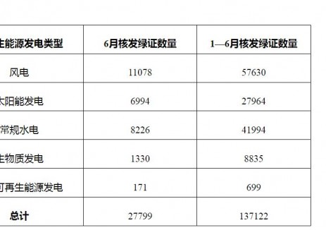 国家能源局发布2025年6月全国可再生能源绿色电力