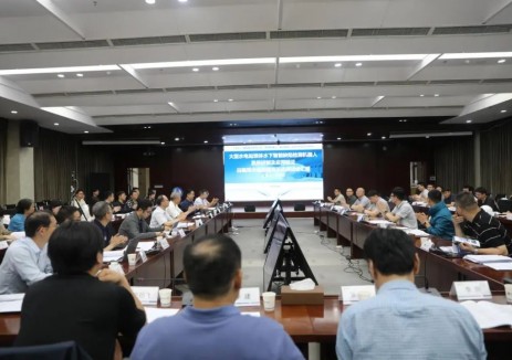 三峡集团牵头的国家重点研发计划项目顺利通过白鹤
