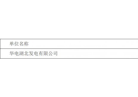 武昌分公司2025年3号燃机发电机升级改造项目（#3