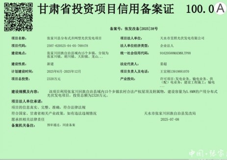 张家川县发展和改革局关于张家川分布式并网型光