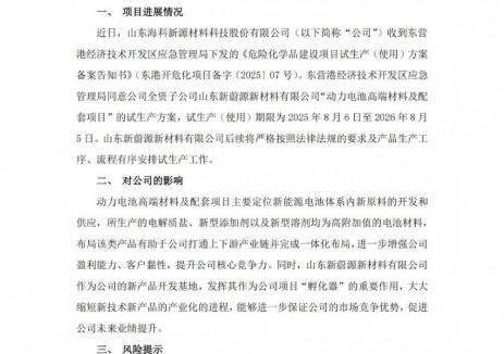 海科新源全资子公司动力电池高端材料及配套项目试