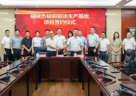 钠能时代硬炭负极材料前驱体产业化基地项目落户湖