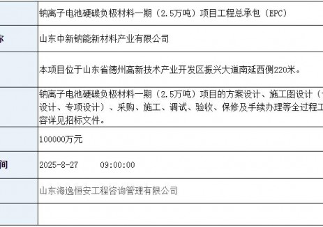 招标 | 10亿元！山东德州一钠电池材料项目招标