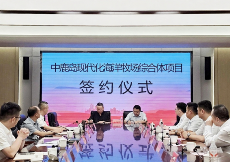 涉及海洋新能源等领域！京能国际与中鹿岛海洋牧场