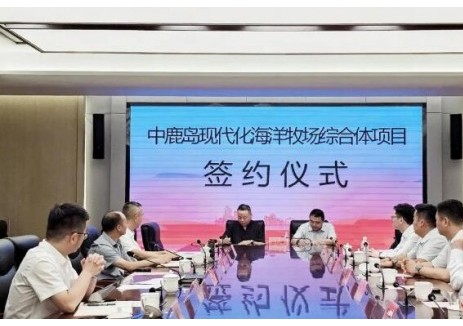 <em>京能国际</em>与中鹿岛海洋牧场举行会谈并签署合作协议，聚焦海洋新能源等领域开展合作