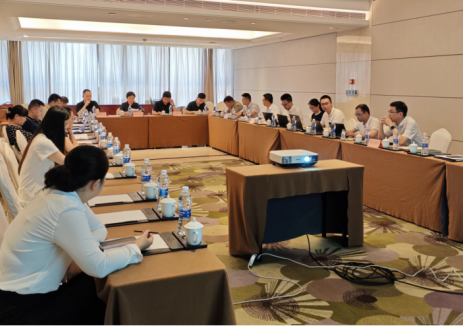 浙江松阳抽水蓄能电站接入系统设计报告评审会顺