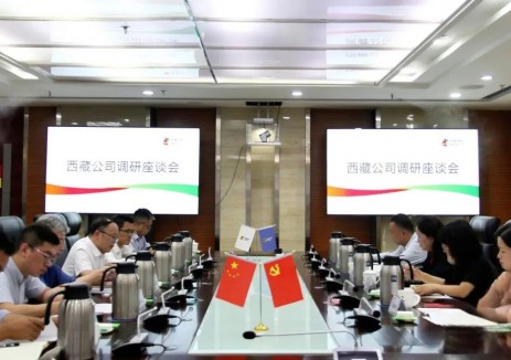 徐立红到西藏公司调研时强调，持续提升当雄羊八井