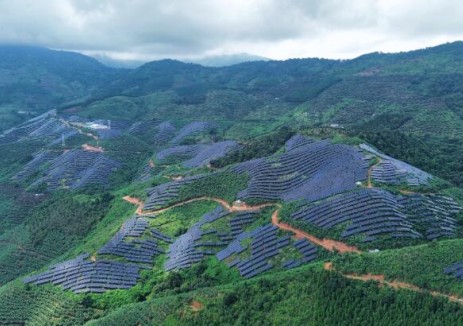 云南西双版纳片区113.5万千瓦光伏发电项目全容量