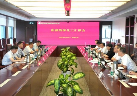 严航到新疆能源化工调研