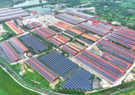 安徽和爱牧场30兆瓦分布式光伏发电项目全容量并网