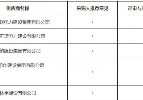 2025年大通湖中心城区充电桩建设项目成交公告