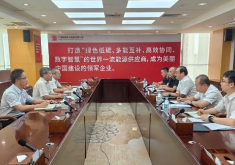 王灿强副局长带队开展加快龙滩水电站通航设施项目