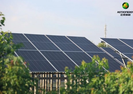 正泰新能助力建湖渔光互补555MW(一期242MW)光伏项