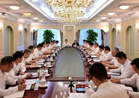推进大通道大基地合作交流！罗必雄拜会大唐集团党
