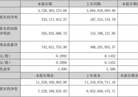 蔚蓝锂芯2025年半年度净利润同比增长99.09%