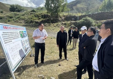 国务院调研组考察高海拔离网光伏制氢加氢站示范项