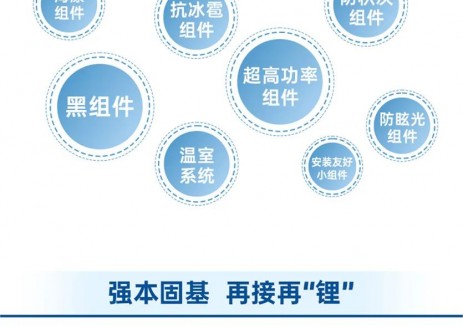 一图看懂丨横店东磁2025年半年度报告