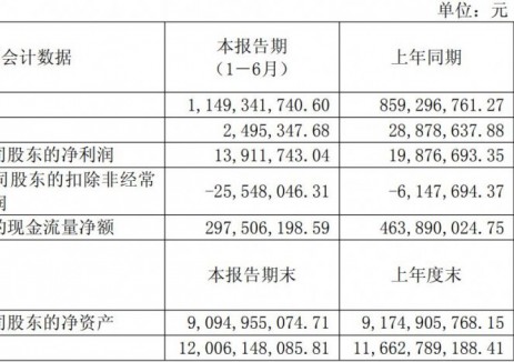 派能科技2025年上半年净利润为13911743.04元 同比