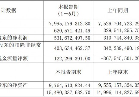 骆驼股份2025年上半年净利润5.32亿元 同比增长69.