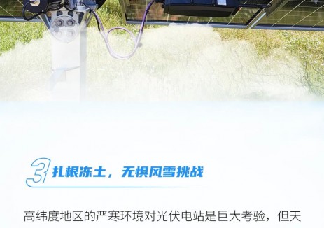 天合光能52MW智能光伏电站点亮北欧，极光下的“绿
